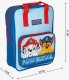 Plecak szkolny The Paw Patrol Niebieski 4