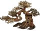 4FISH Trærødder, Bonsai, 30x15x23 cm 1