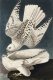 Plakat 61x91,5cm Geo Falcon, J.J.Audubon Vintage do Salonu 1