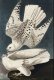 Plakat 61x91,5cm Geo Falcon, J.J.Audubon Vintage do Salonu 2