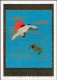 Plakat 50x70cm Lecący Żuraw Indyjski, G.A. Audsley do Salonu 1