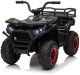 Mini quad dla dziecka Robust 01 Quad ATV 4x35W EVA, Pilot 2.4G EDUKAMP 18