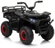 Mini quad dla dziecka Robust 01 Quad ATV 4x35W EVA, Pilot 2.4G EDUKAMP 8