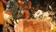 MONSTER HUNTER WILDS PC 9