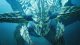 MONSTER HUNTER WILDS XSX 2
