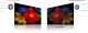 Telewizor TCL 32S5K QLED 32'' Full HD Android 7
