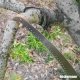 Piła ręczna ogrodowa gdo gałęzi na wysięgniku teleskopowa Heckermann 6m 5