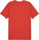 Koszulka męska Puma Team Goal Casuals Tee czerwona 658615 01 XL 1