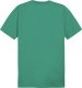 Koszulka męska Puma Team Goal Casuals Tee zielona 658615 05 L 1