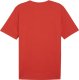 Koszulka męska Puma Team Rise Logo Jersey Cotton czerwona 658705 01 M 1