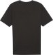 Koszulka męska Puma Team Rise Logo Jersey Cotton czarna 658705 03 S 1