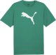 Puma Koszulka męska Puma Team Rise Logo Jersey Cotton zielona 658705 05 M 1