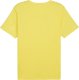 Koszulka męska Puma teamRISE Matchday Jersey żółta 706132 07 L 1