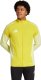Bluza męska adidas Tiro 25 Competition Training żółta JI8959 S 1