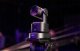 OBSBOT Tail 2 Live Production Camera 11