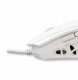 White Shark GM-5016 Ector white 4