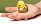 TUBBZ Sammelente - MINI Herr der Ringe Legolas           5cm 1
