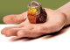TUBBZ Sammelente - MINI Herr der Ringe Gimli             5cm 1