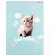TECZKA Z GUMKA PAP A4 KITTY STK FOL10/100 4