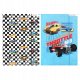 TECZKA Z GUMKA PAP A4 HOT WHEELS STK FOL10/100 4