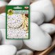 Seklos LT PNOS Nasiona warzyw | Fasola Na Suche Nasiona Igłomska | Opakowanie 50g 2