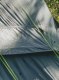 Outwell Two Room Dome Tent | Cloud 5 | 5 person(s) | Green 7