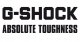 Casio G-Shock vyriškas laikrodis 14