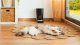 Cecotec Automatyczny Dozownik do karmy Pumba 6000 Purrfect Meal Smart  (9565) 3