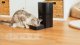 Cecotec Automatyczny Dozownik do karmy Pumba 6000 Purrfect Meal Smart  (9565) 4