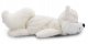 NICI 61304 Maskotka pluszowa lis polarny Vanja 45cm GREEN 1