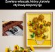 LEGO Art „Słoneczniki” Vincenta van Gogha (31215) 5