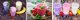 Solac BA5609 Pro Chef Stabmixer-Set 1200W edelstahl 2