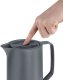 Emsa Motiva Insulated Jug Quick-Press QuickPress 1l anthracite (3110600634) 3