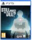 Still Wakes the Deep (PS5) 1
