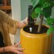 PLANT CARE DOZOWNIK WODY 350 ML 4