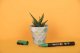 POSCA GIFT METAL TIN, 20 ass. Pop Colours (6xpc1mc - 7xpc3m - 7xpc5m) 6