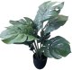 Monstera sztuczna 50cm 1