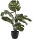 Monstera sztuczna 50cm 2