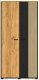 Szafa młodzieżowa COLT 02 2D dąb złoty craft/czarna ML MEBLE 2