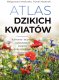 Atlas dzikich kwiatów EDUKAMP 1
