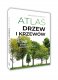Atlas dzikich kwiatów EDUKAMP 1