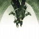 Dragonbane: Podrêcznik g³ówny 3