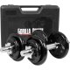 2x10 kg Hantle regulowane żeliwne 30 mm + walizka 1