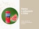 Fanta z Chin Watermelon o smaku arbuzowym egzotyczny napój gazowany w puszce 330ml 2