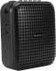 Wzmacniacz głosu MM-WG300 VoiceBooster 3
