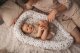 Multitex Materacyk pozycj. PRESTIGE MUSLIN DESIGN 80x55 4