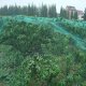 Siatka Ochronna na Ptaki 2m x 10m + 6 Szpilek Montażowych EDUKAMP 3