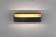 Kinkiet Amazon LED wall light TRIO ARINO, 3000 K, 1 x 13.5 W, 1500 lm, dimmable, black, 35 cm 5