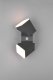 LED outdoor wall light TRIO Avon, IP54, 7W, 3000K, 2x800lm, with motion sensor, anthracite color, h28cm 4
