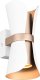 Wall lamp TRIO COAT, 2 x GU10, 22 x 10 x 12 cm, white/coffee. 1